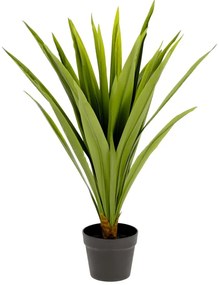 Műnövény (magasság 80 cm) Yucca – Kave Home