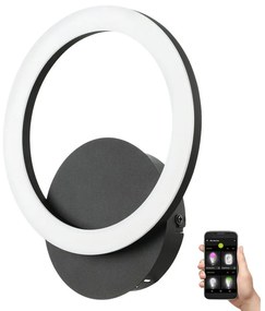 Eglo 900324 - LED Dimmelhető fali lámpa PARRAPOS-Z LED/12W/230V