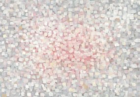 Fotótapéta Absztrakt Rózsa és Szürke Finom csillogás 208x146 +ragasztó