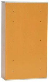 Narancssárga kőrisfa fali könyvespolc 60x109 cm Apollo – Hübsch