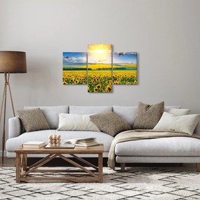 Kép - Napraforgó mező (90x60 cm)