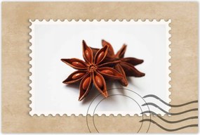 Poszter 60x40 Ánizs csillag Ánizs