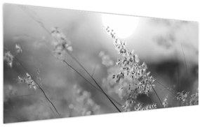 Kép - Őszi rét (120x50 cm)