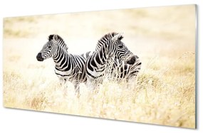 Üvegképek zebra box 100x50 cm