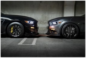 Poszterek 120x80 Face to face Mustang