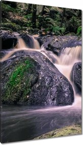 Vászonkép 80x120 Folyó víz a patakban
