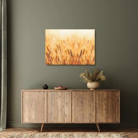 Kép - mező gabonával (üvegen) (70x50 cm)