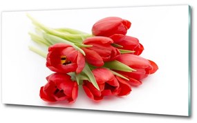 Egyedi üvegkép Piros tulipánok osh-99817079