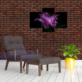 A liliom képe (90x60 cm)