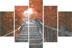 Kép - Lépcsők a természetben, narancssárga (150x105 cm)