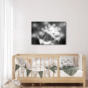 Kép - Részlet egy virágot beporzó pillangóról (90x60 cm)