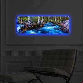 Vászonkép, 30×90 cm – 3090DACT-38