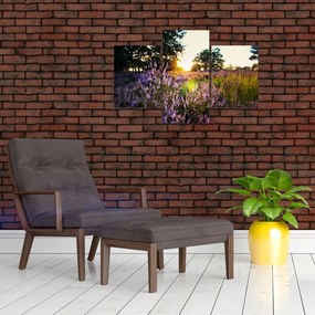 Egy levendulamező képe (90x60 cm)