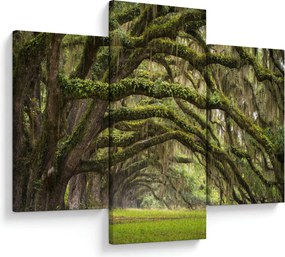 Kép - Oaks Avenue, Charleston, Dél-Karolina, Egyesült Államok (90x60 cm)