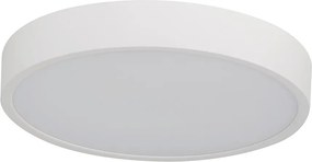 Pandino LED általános mennyezeti lámpa