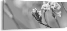 Kép - Virágzó virág (120x50 cm)
