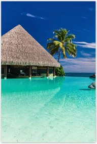 Poszterek 60x90 Trópusok Tåjkép Pålmafåk