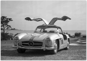 Fotótapéta flizelina 416x290 Mercedes Gullwing