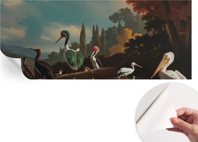 Öntapadós tapéta Divatos 3D fali ragasztóval Festői madarak 250x104 cm