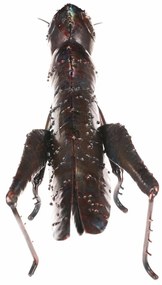 Fém kerti dekoráció, szöcske, 37 x 12 x 14 cm