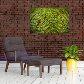 Kép - Fern (90x60 cm)