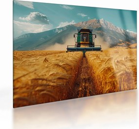 Üveg kép - Zemedelec (70x50 cm)