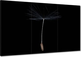 Vászonkép 120x80 Pitypang Virág Virágok