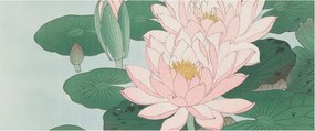Flizelin Dekoratív fotótapéta Hálószobába Vízi lótusz 250x104 Ragasztó