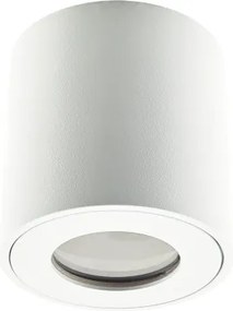 EMITHOR 48620 ALMAN Modern KĂŒltĂ©ri Mennyezeti LĂĄmpa GU10 IP44