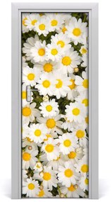 Poszter tapéta ajtóra százszorszép virágok 85x205 cm