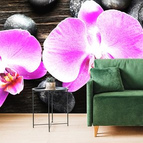 Fotótapéta gyönyörű orchidea és kövek