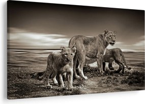 Fekete fehér tigris képe (90x60 cm)