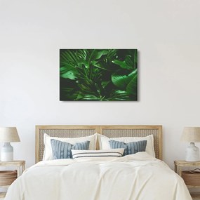Kép - Pálmalevél (90x60 cm)