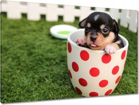 Festmények 120x80 Cukiság