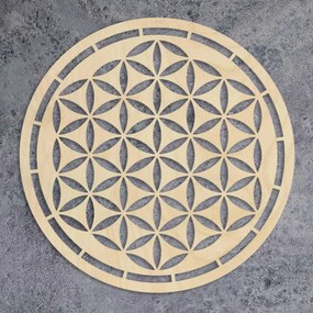 Fa mandala, faldekoráció | HAAMONY
