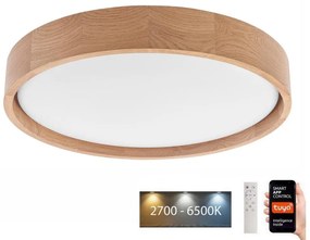 Brilagi - MANAROLA SMART LED mennyezeti lámpa 24W/230V + Tuya DO