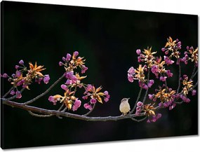 Vászonkép 90x60 Madarak