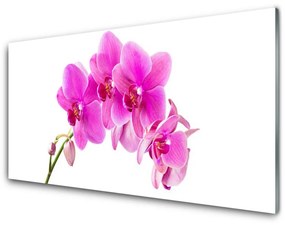 Akrilkép Orchidea virág orchidea 100x50 cm 2 fogas