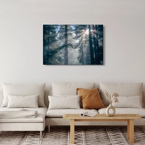 Fák képe a ragyogó nappal (90x60 cm)
