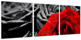 Kép - Rózsák (órával) (90x30 cm)