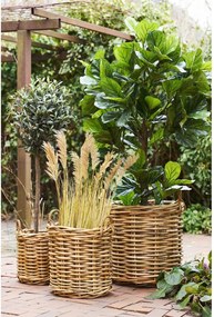 Burton kosárszett, 3-es szett