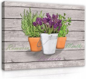 Vászonkép Konyha Gyógynövények Fűszerek Levendula Falikép Modern 100x70