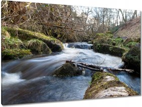Festmények 120x80 Okos hegyi folyó