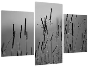 Kép - Fűszálak (90x60 cm)