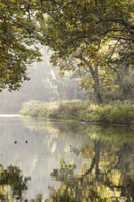 Poszter 20x30cm Csatorna Basingstoke 3, Assaf Frank