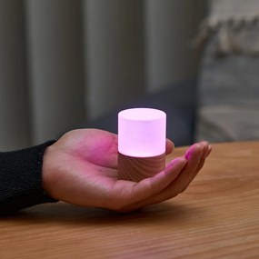 Natúr színű USB fénydekoráció ø 4,5 cm Lemelia – Gingko