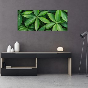 Kép - Levelek harmatcseppekkel (120x50 cm)