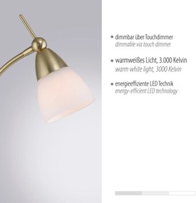 Paul Neuhaus modern állólámpa pino barna pln400-60