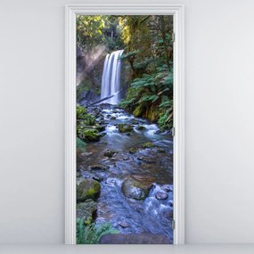 Fotótapéta ajtóra - Ausztrál esőerdő (95x205cm)