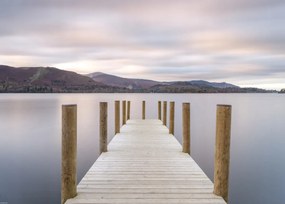 Poszter 70x50cm, Assaf Frank